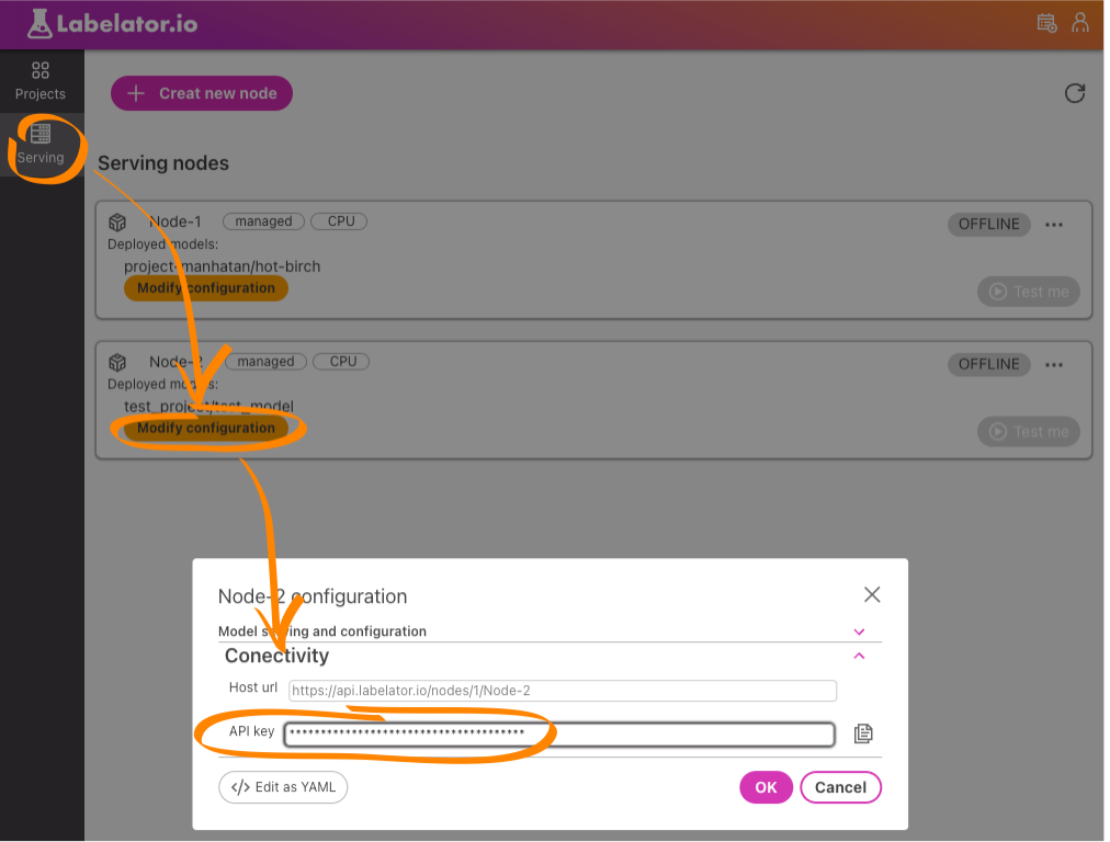 Node API token